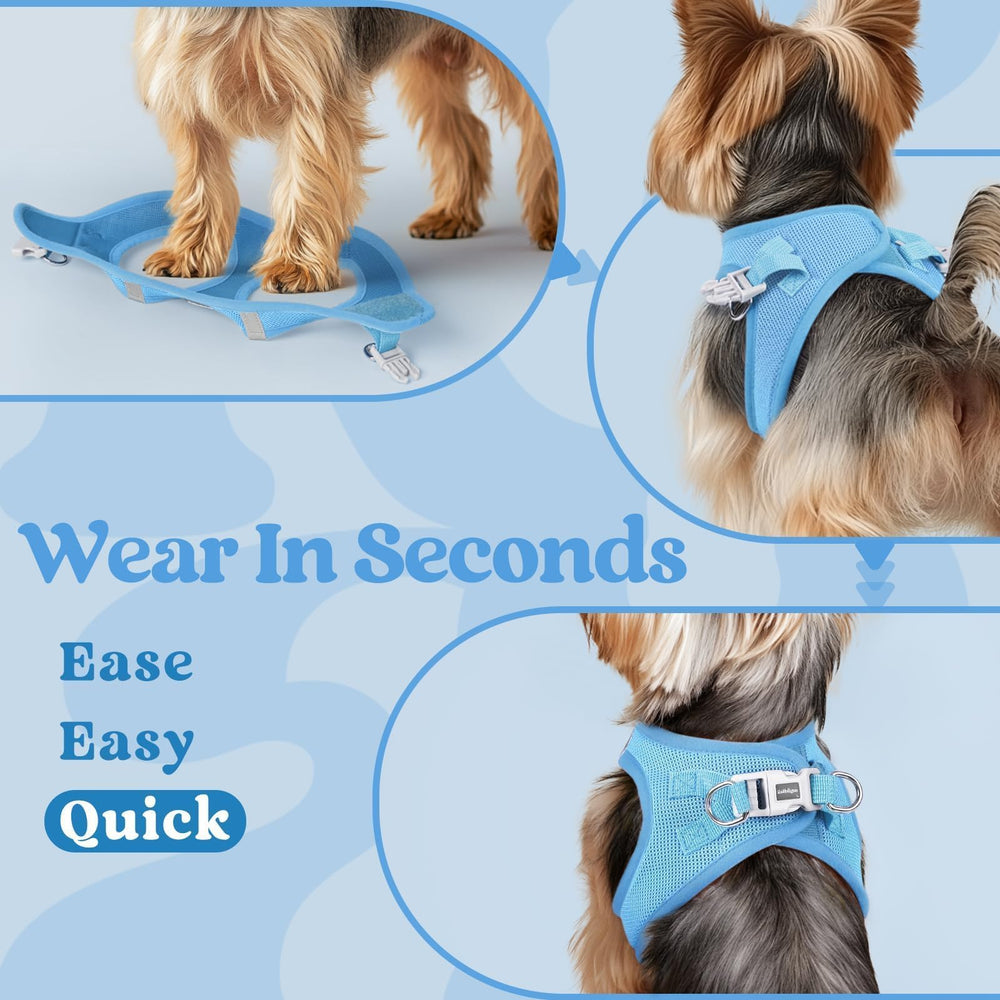 rabbitgoo Step-in Small Dog Harness showing its hook-and-loop closure.