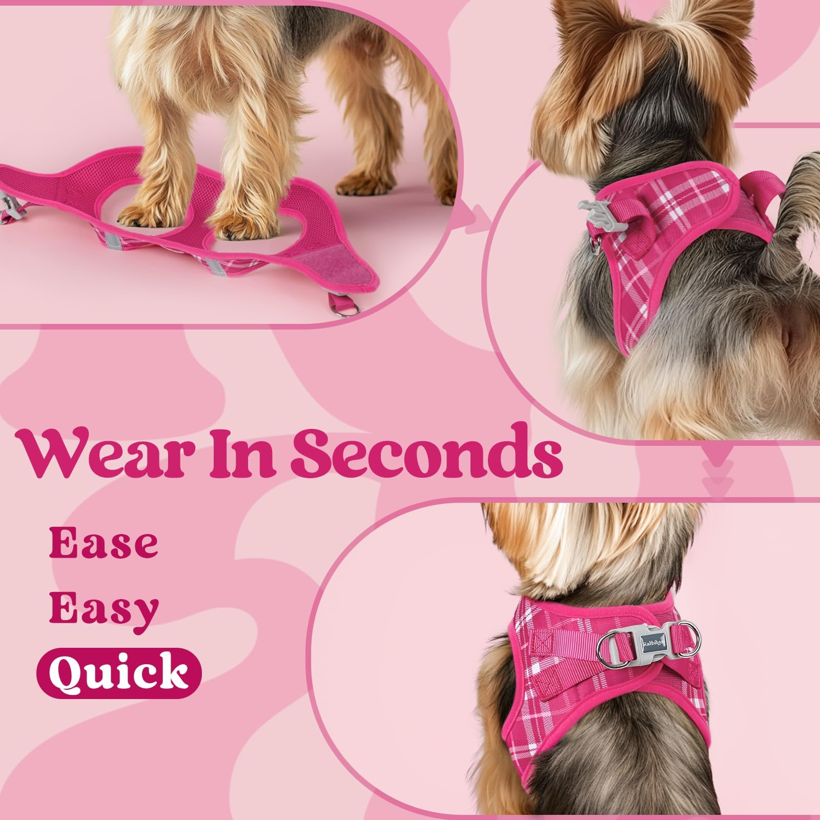 rabbitgoo small dog harness detail showing its hook-and-loop closure.