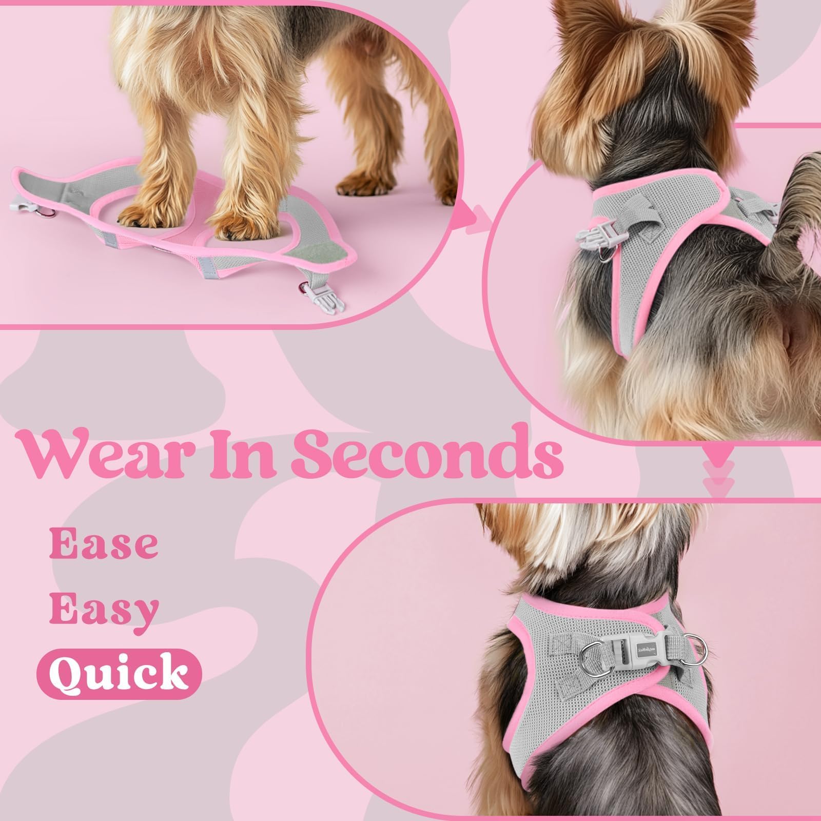 rabbitgoo Step-in Small Dog Harness hook-and-loop closure shown in detail.