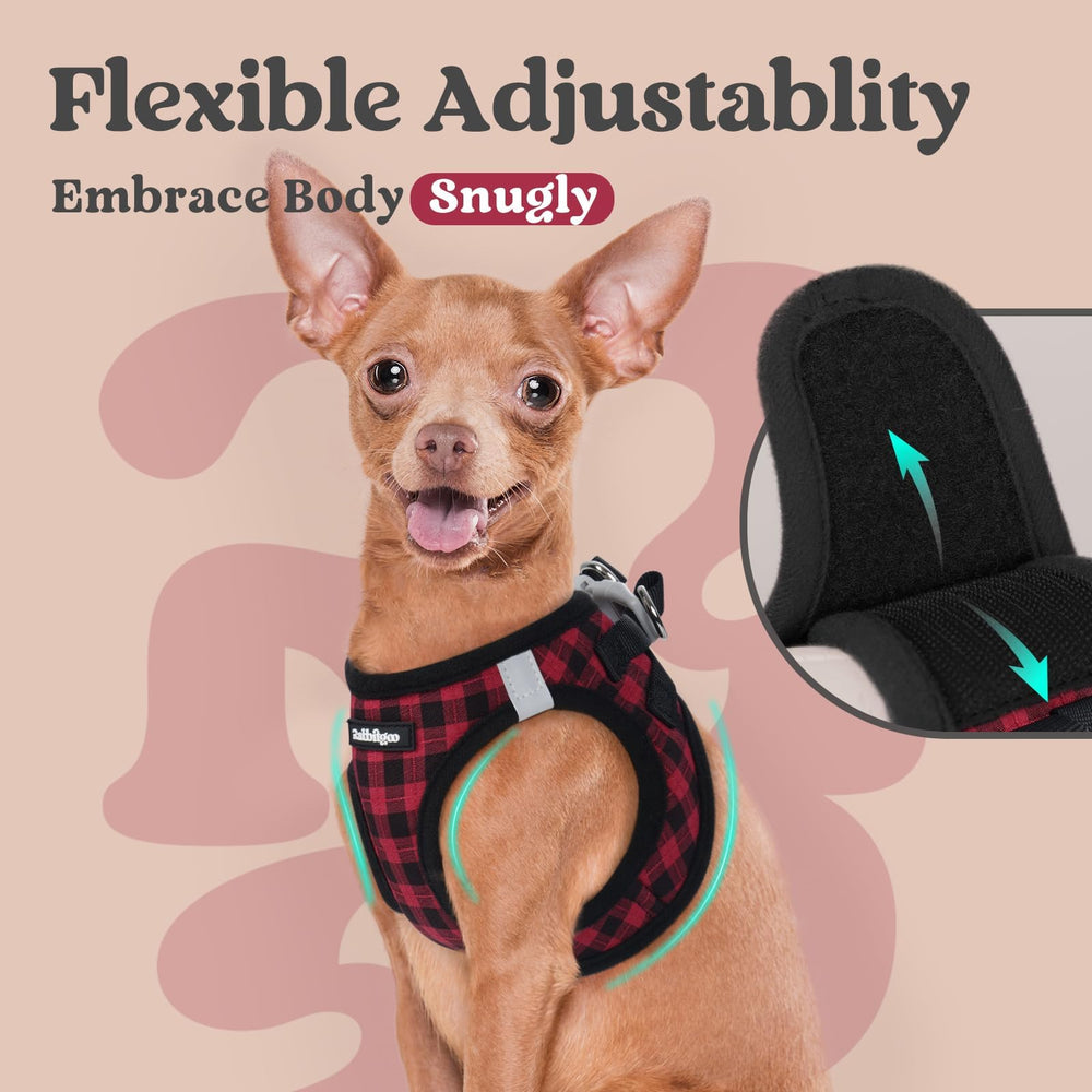rabbitgoo small dog harness with a close view of its D-rings.