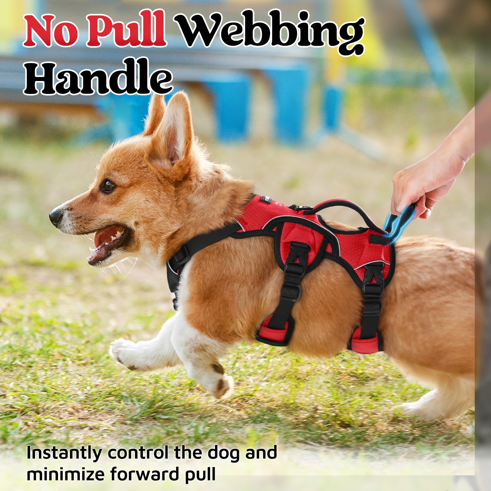rabbitgoo small dog harness close-up showing its padded lift handle.