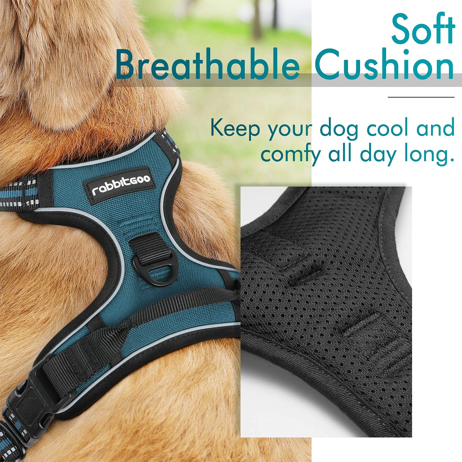 rabbitgoo small dog harness breathable mesh and padded fabric detail.