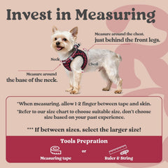 rabbitgoo small dog harness with a close view of its air mesh.