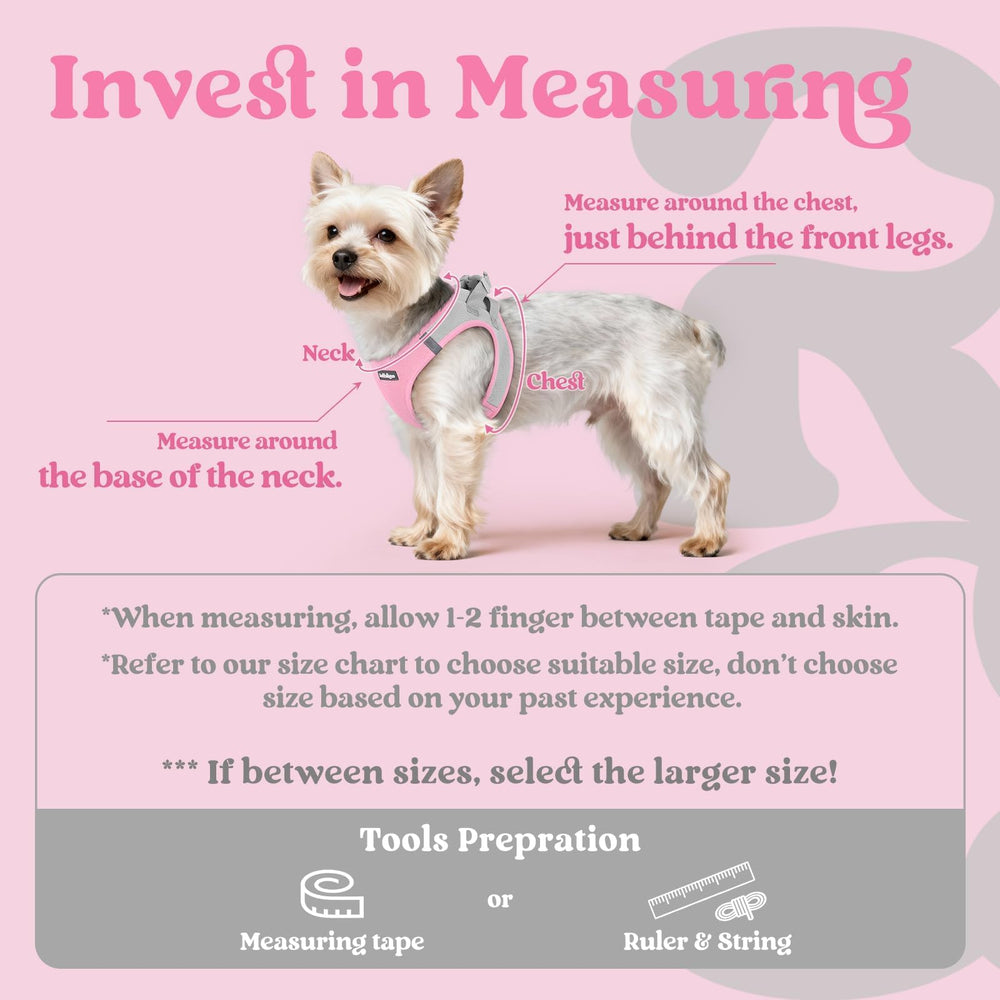 rabbitgoo Step-in Small Dog Harness with its air mesh and soft edge detail.