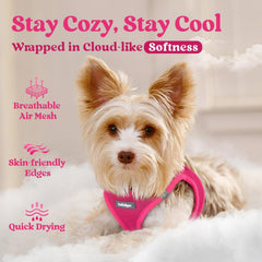 rabbitgoo small dog harness with a close-up view of the air mesh.