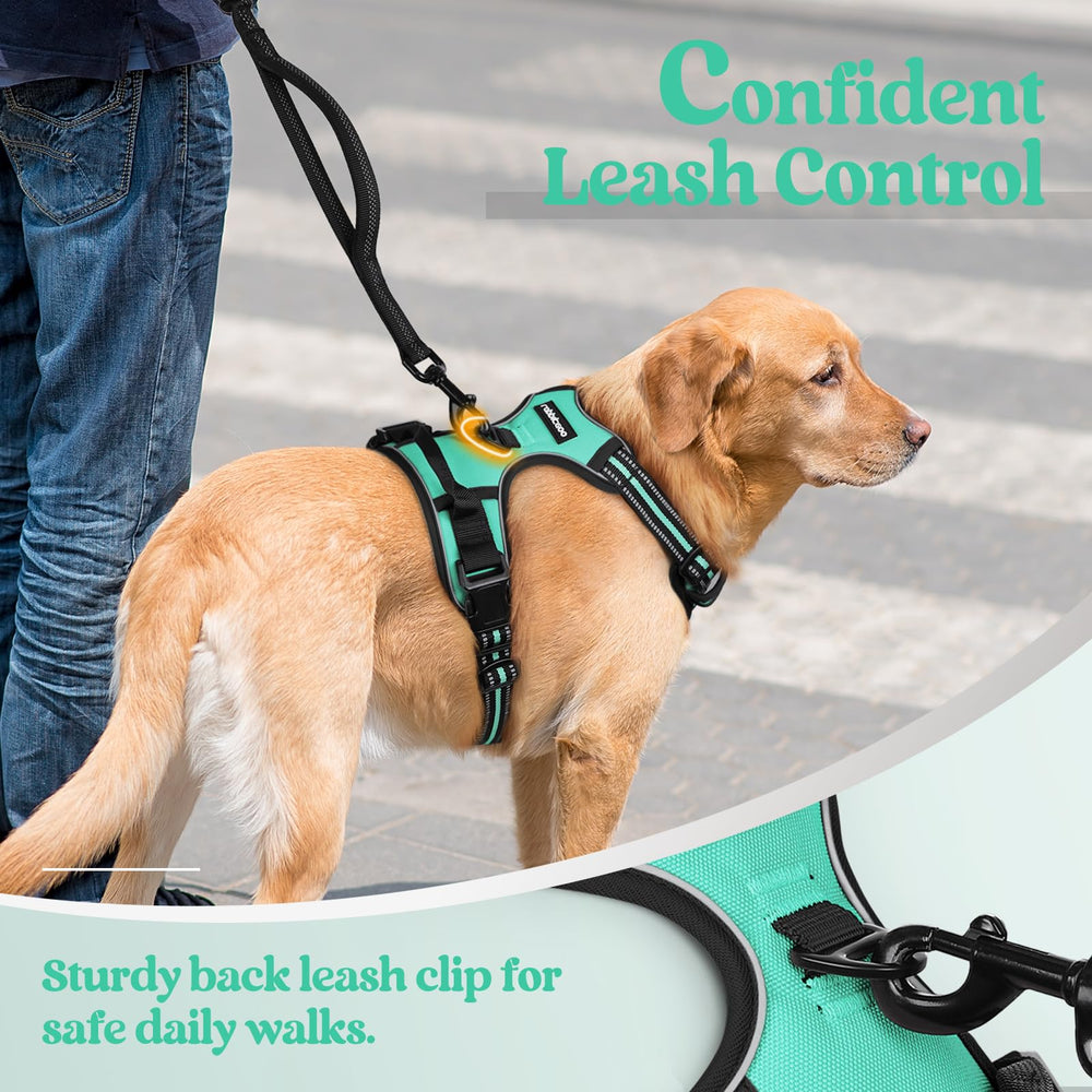 Close-up of the rabbitgoo small dog harness cushion padding and air mesh.
