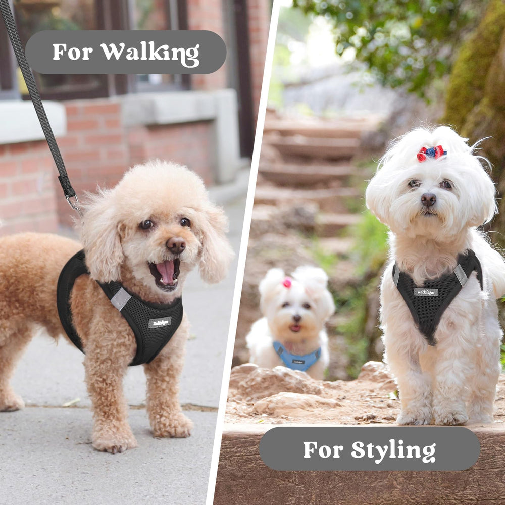 rabbitgoo small dog harness worn by a dog during a walk.