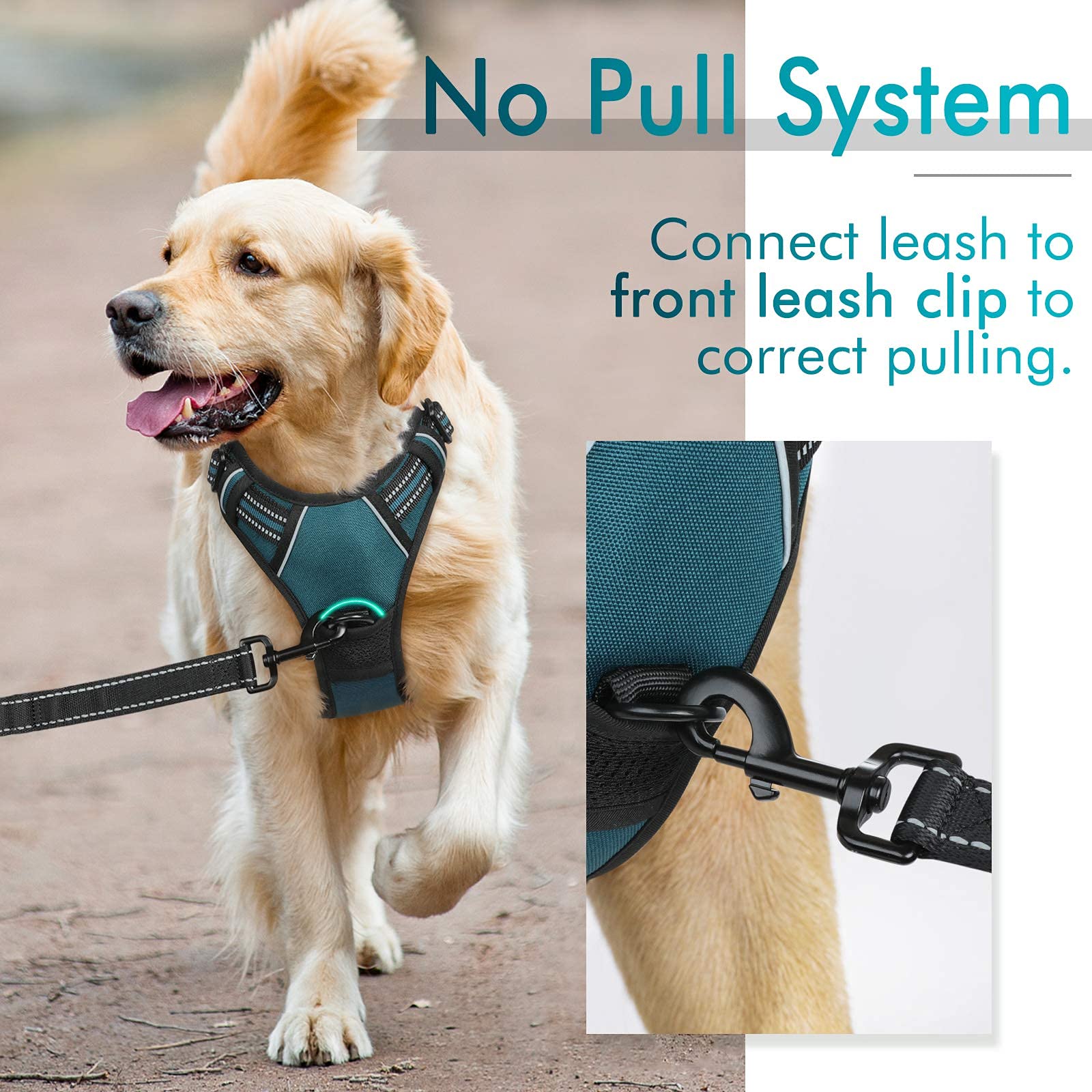 rabbitgoo small dog harness quick-release buckle detail.
