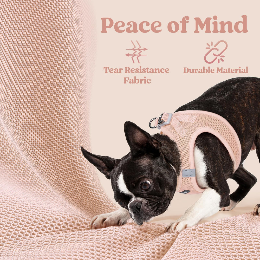 rabbitgoo small dog harness with reflective bands visible.