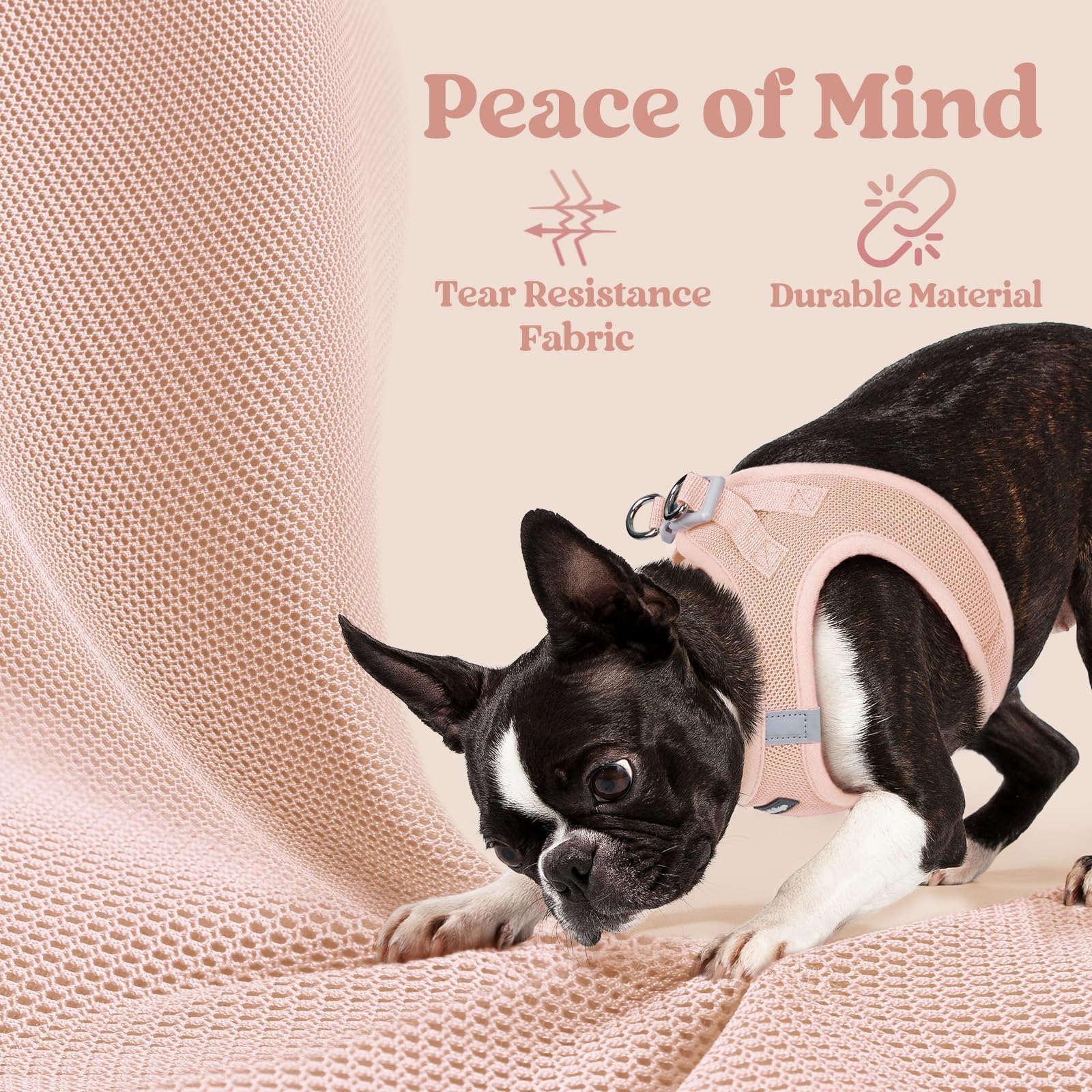 rabbitgoo small dog harness with reflective bands visible.