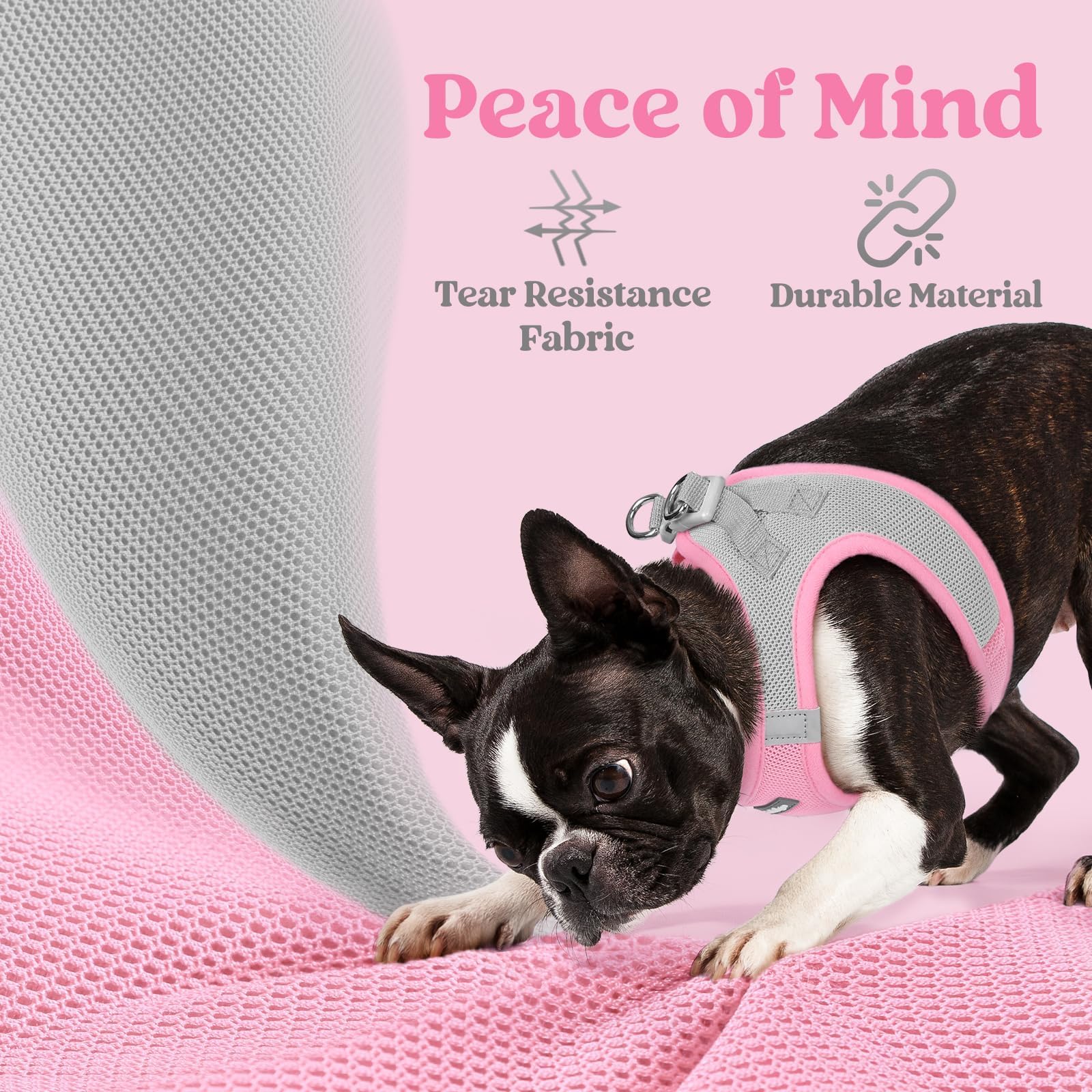 rabbitgoo Step-in Small Dog Harness reflective bands shown in detail.