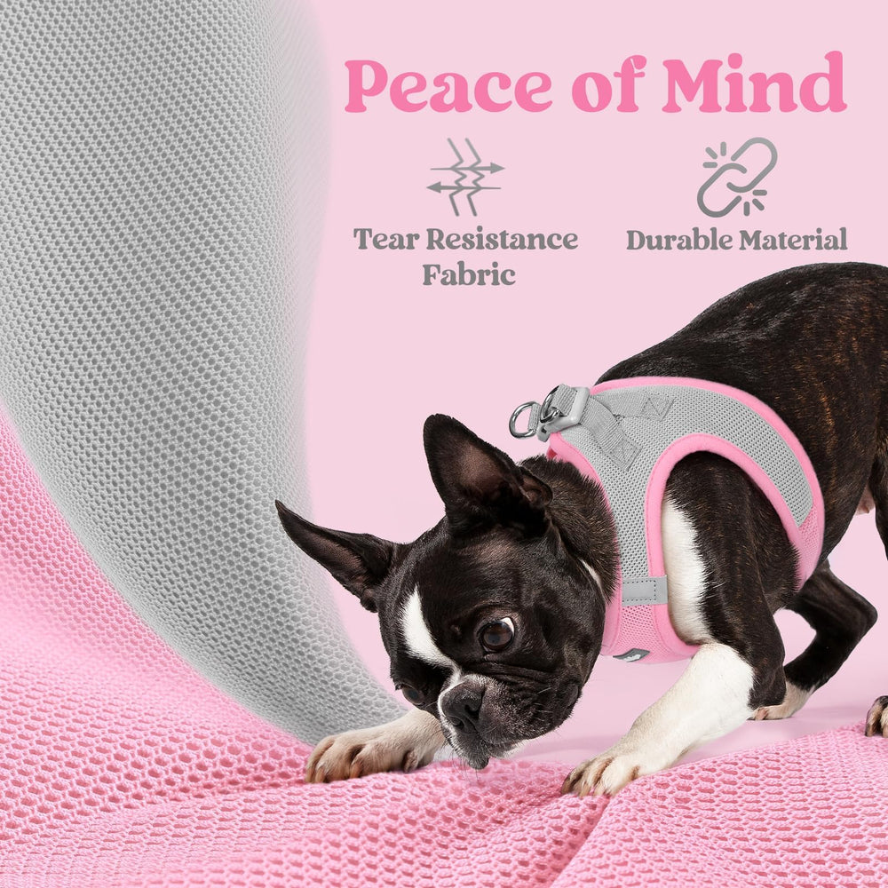 rabbitgoo Step-in Small Dog Harness reflective bands shown in detail.