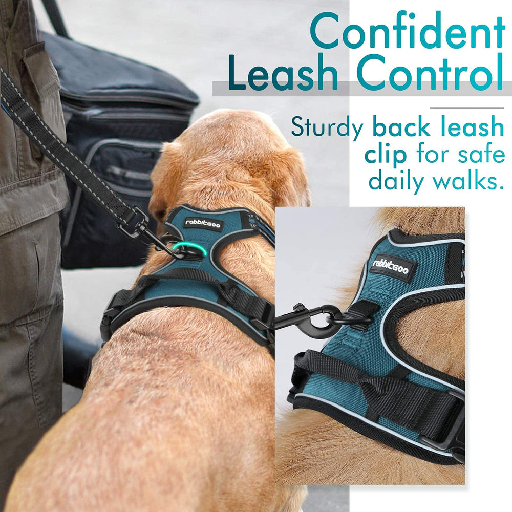 rabbitgoo small dog harness reflective strips on the vest.