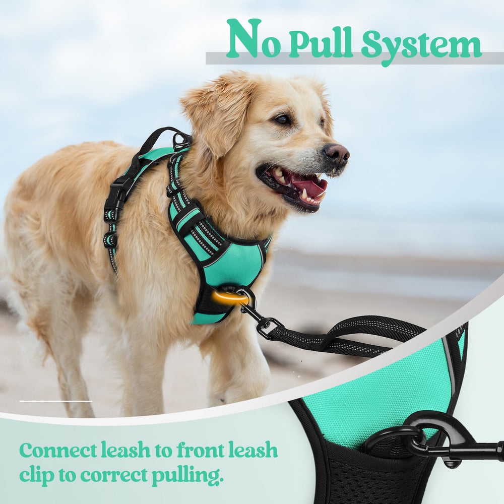 The two quick-release buckles on the rabbitgoo small dog harness.