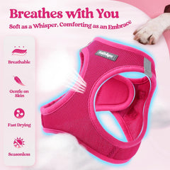 rabbitgoo small dog harness set showing its adjustable hook-and-loop closure.