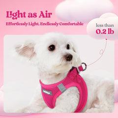 rabbitgoo small dog harness set with a close-up of the air-mesh fabric.