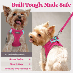 rabbitgoo small dog harness set showing the leash's anti-tangle clip.