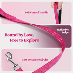 rabbitgoo small dog harness set with a close-up of the leash's padded handle.