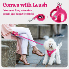 rabbitgoo small dog harness set showing the reflective bands on the vest.