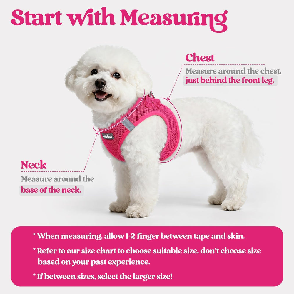 rabbitgoo small dog harness set showing the step-in vest design.