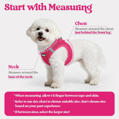 rabbitgoo small dog harness set showing the step-in vest design.