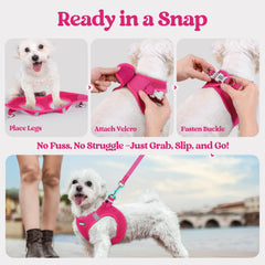 rabbitgoo small dog harness set with a close-up of its two D-rings.