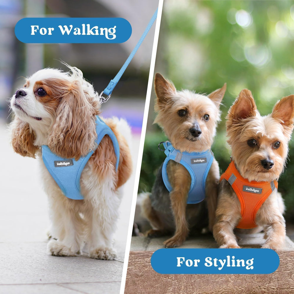 rabbitgoo Step-in Small Dog Harness shown from a side angle.
