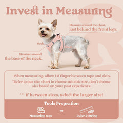 rabbitgoo small dog harness shown from a side angle.