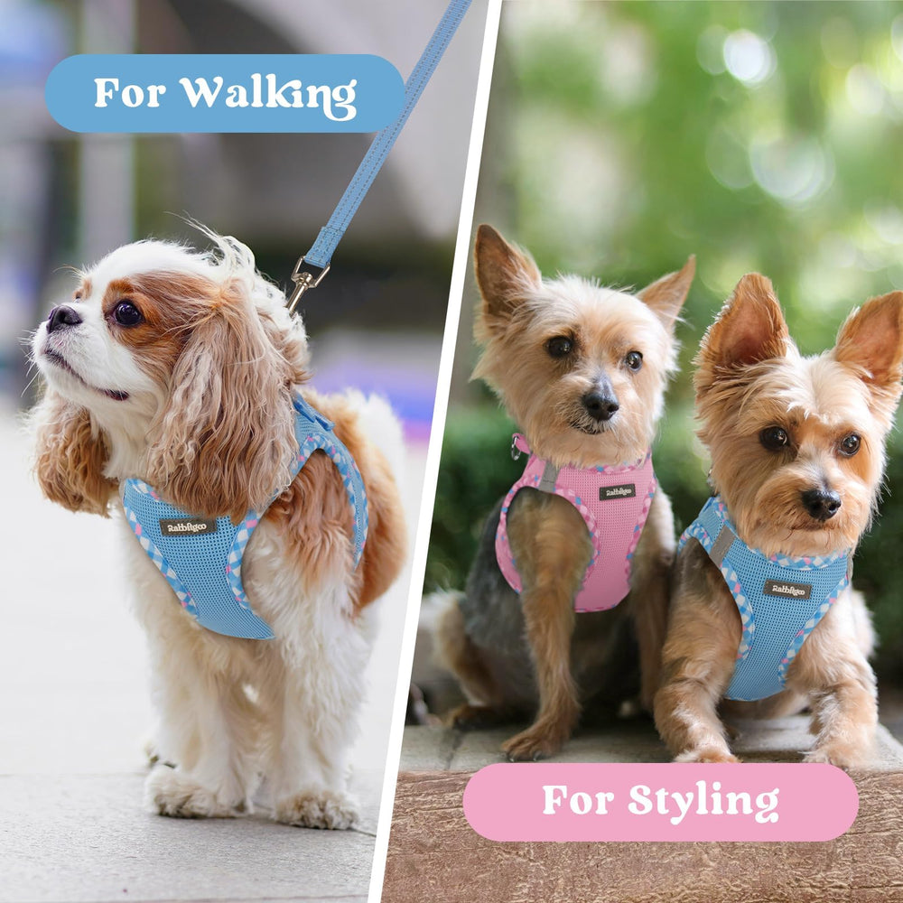 rabbitgoo small dog harness size guide showing the XS fit measurements.