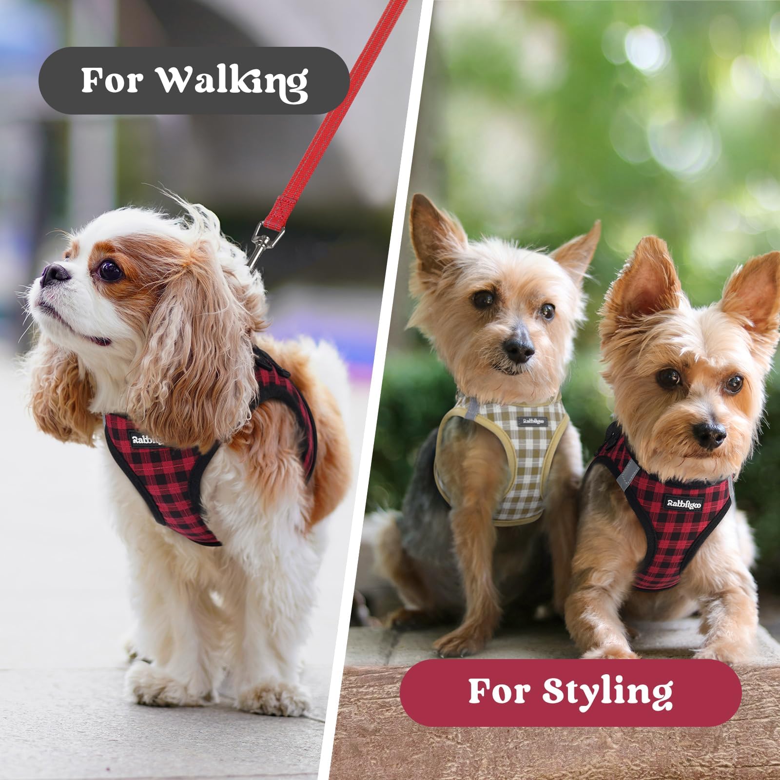 rabbitgoo small dog harness sizing guide for neck and chest girth.