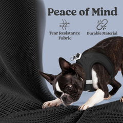 rabbitgoo small dog harness with soft edges shown in detail.