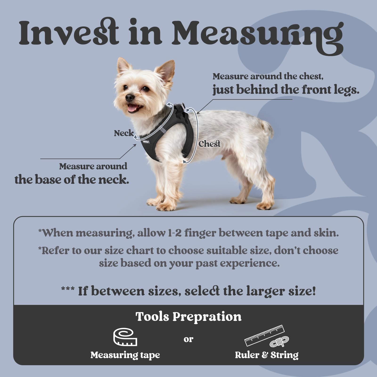 rabbitgoo small dog harness showing its step-in vest design.