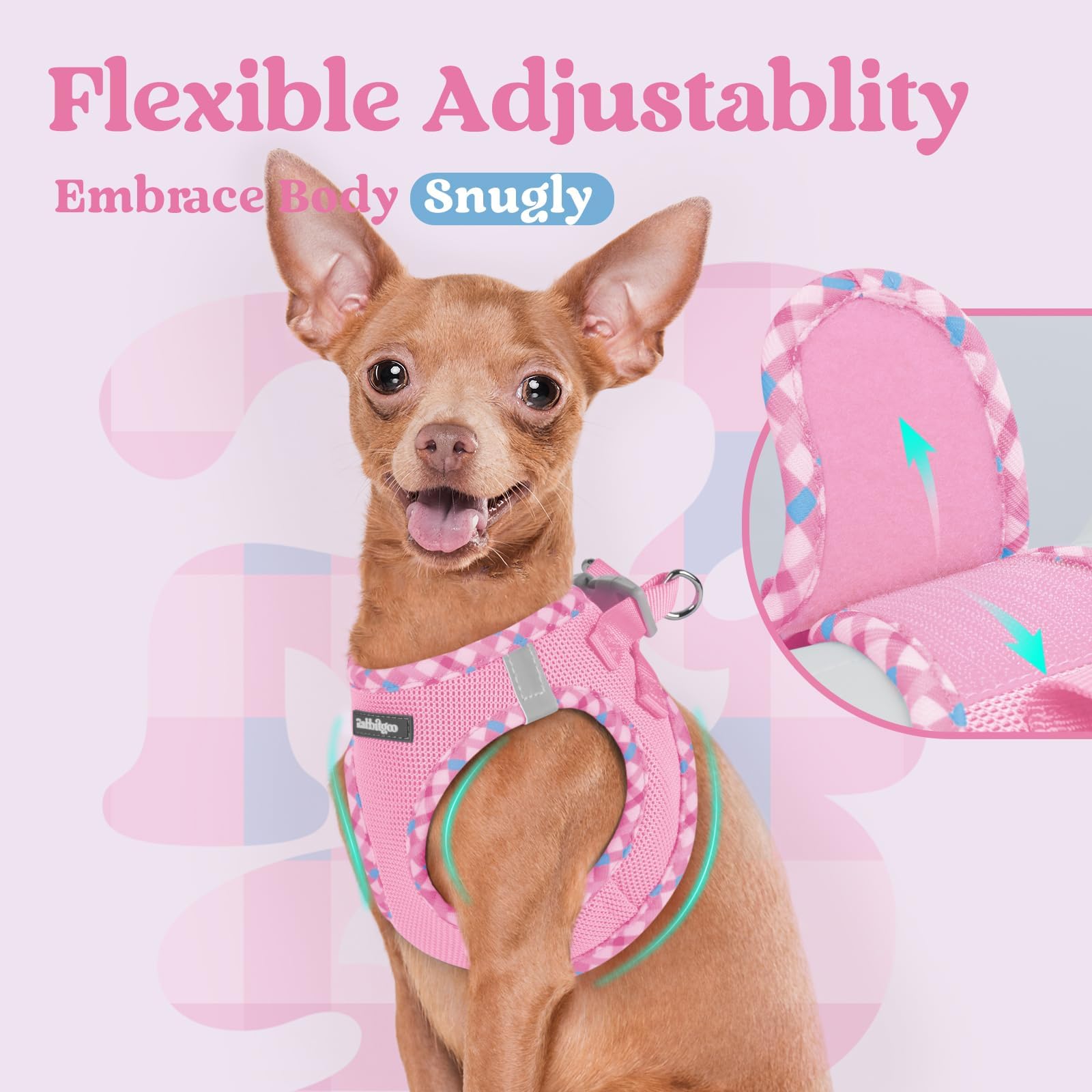 rabbitgoo small dog harness showing its step-in vest design.