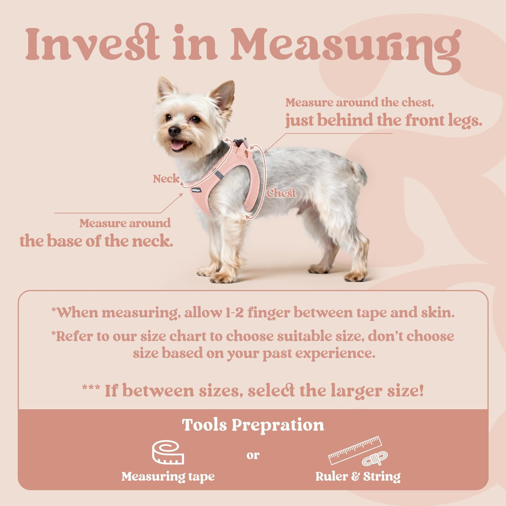 rabbitgoo small dog harness showing its step-in vest design.