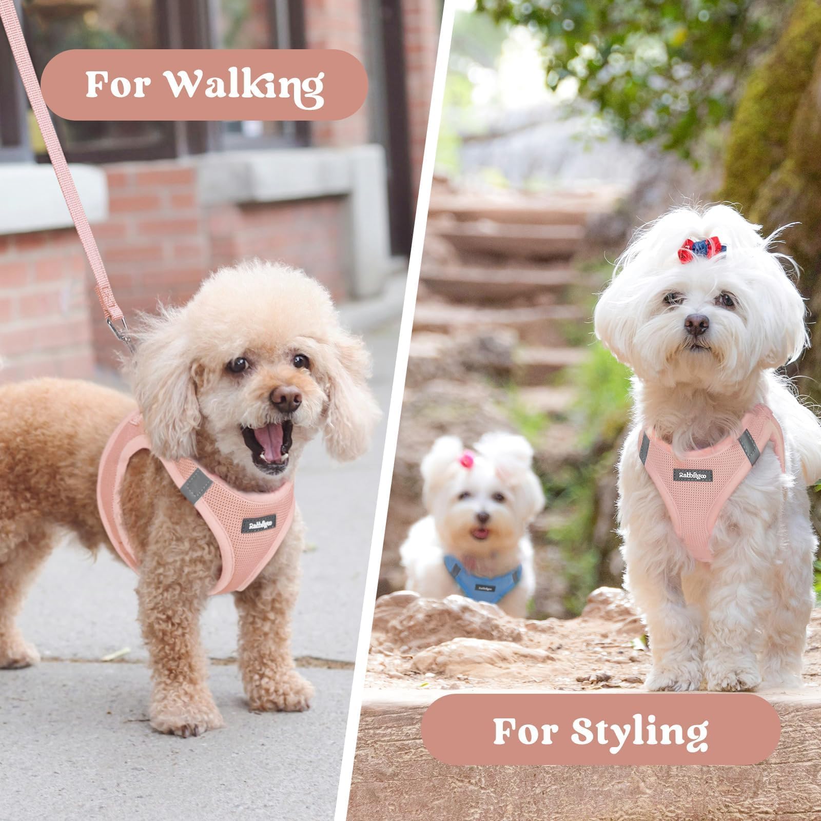 rabbitgoo small dog harness showing its step-in vest design.