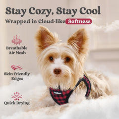 rabbitgoo small dog harness showing the step-in vest design.