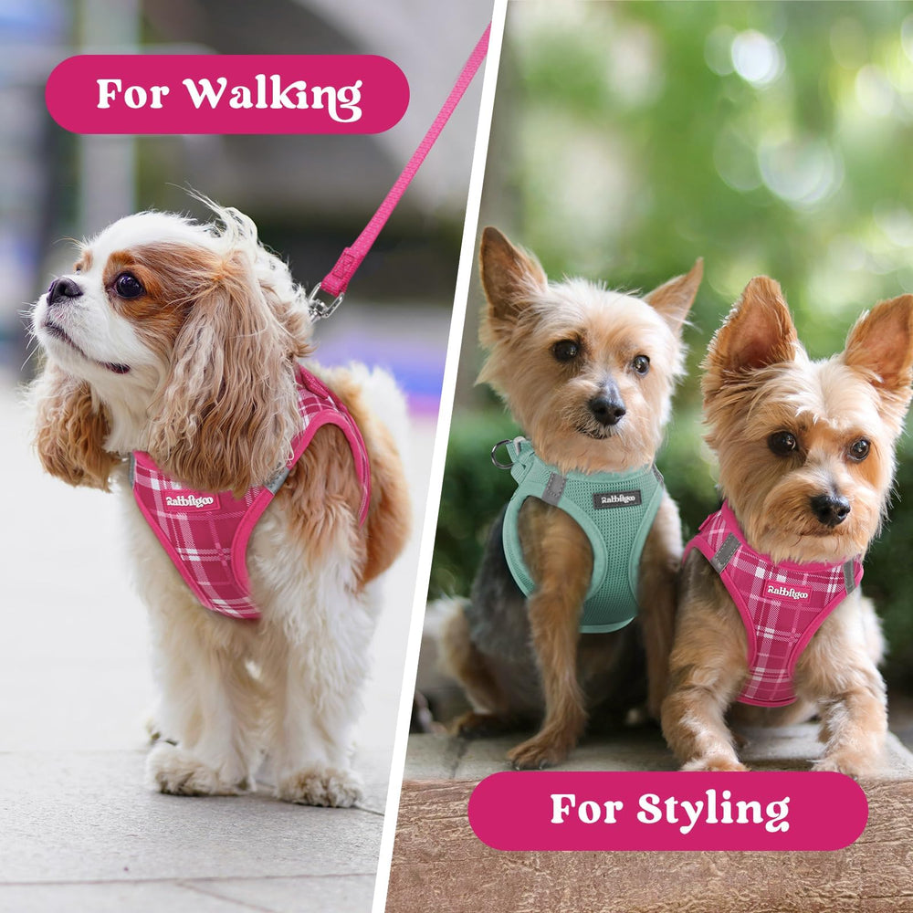 rabbitgoo small dog harness worn by a small puppy.