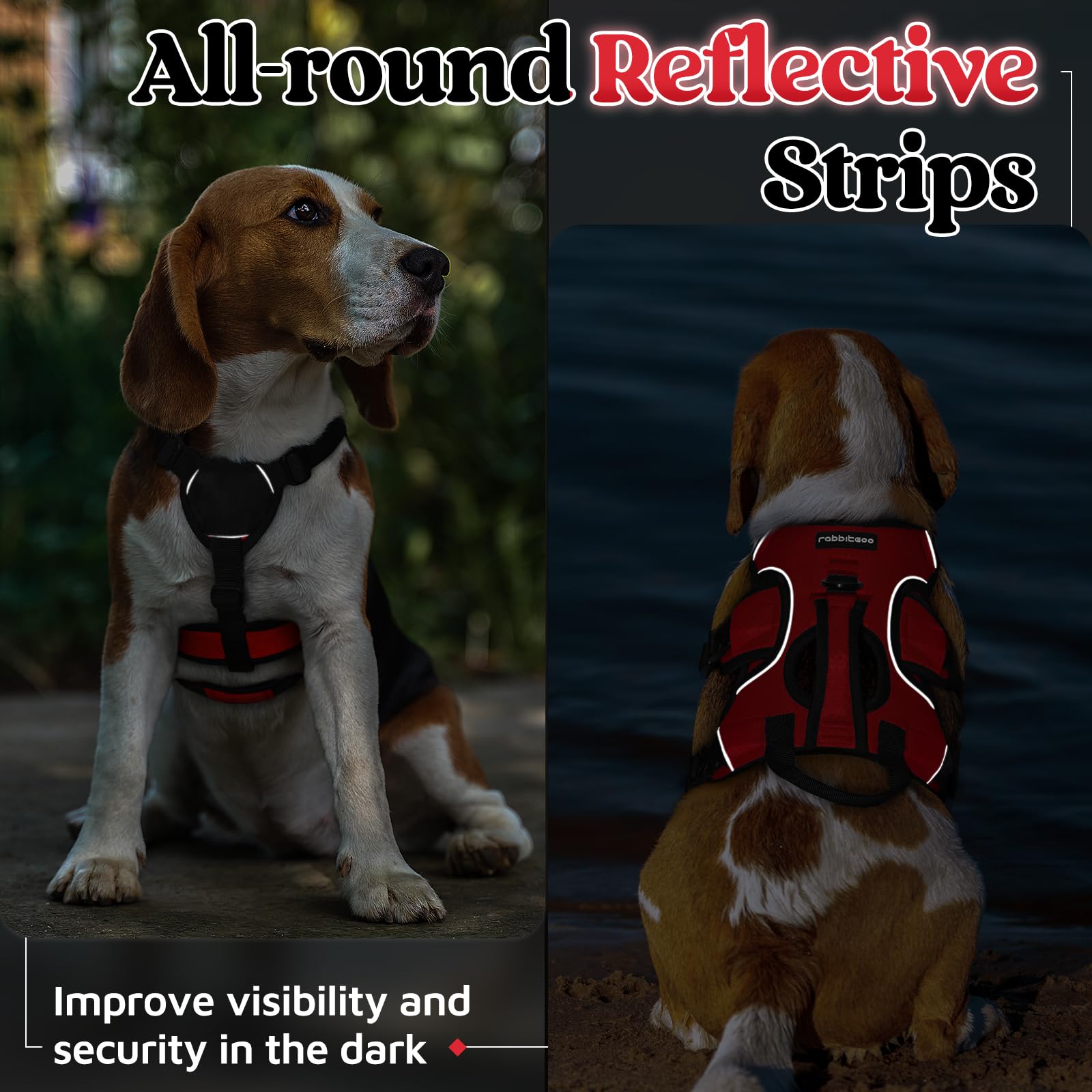 rabbitgoo small dog harness shown being worn by a dog.