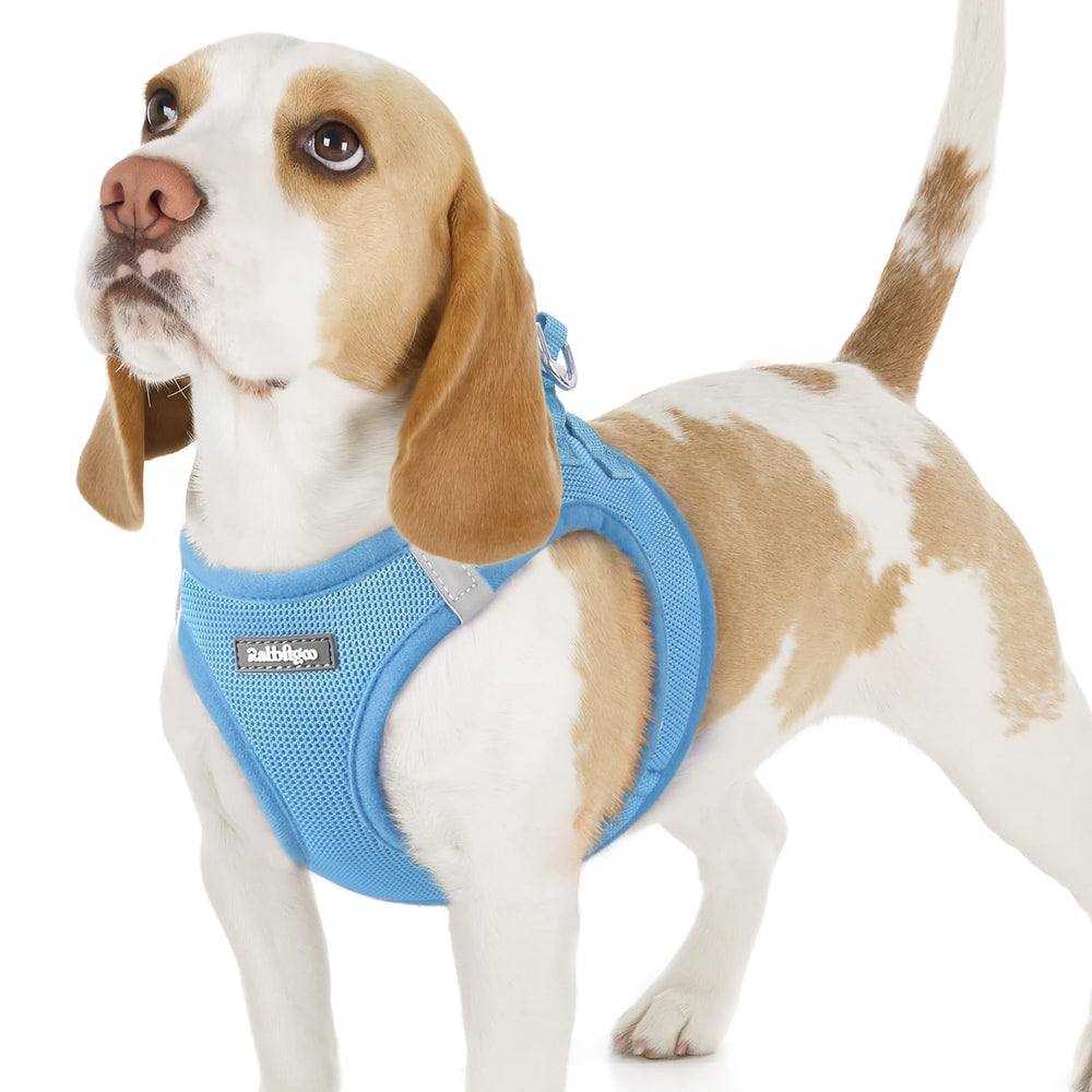 rabbitgoo Step-in Small Dog Harness shown from the front.