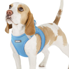 rabbitgoo Step-in Small Dog Harness shown from the front.