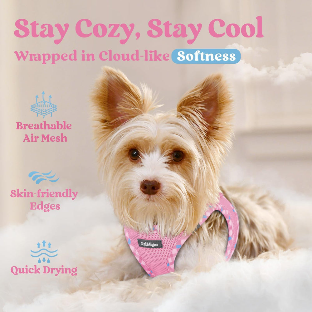 rabbitgoo step-in dog harness close-up showing its air mesh texture.