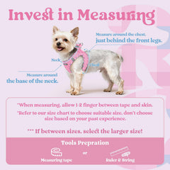 rabbitgoo step-in dog harness shown in a side profile.