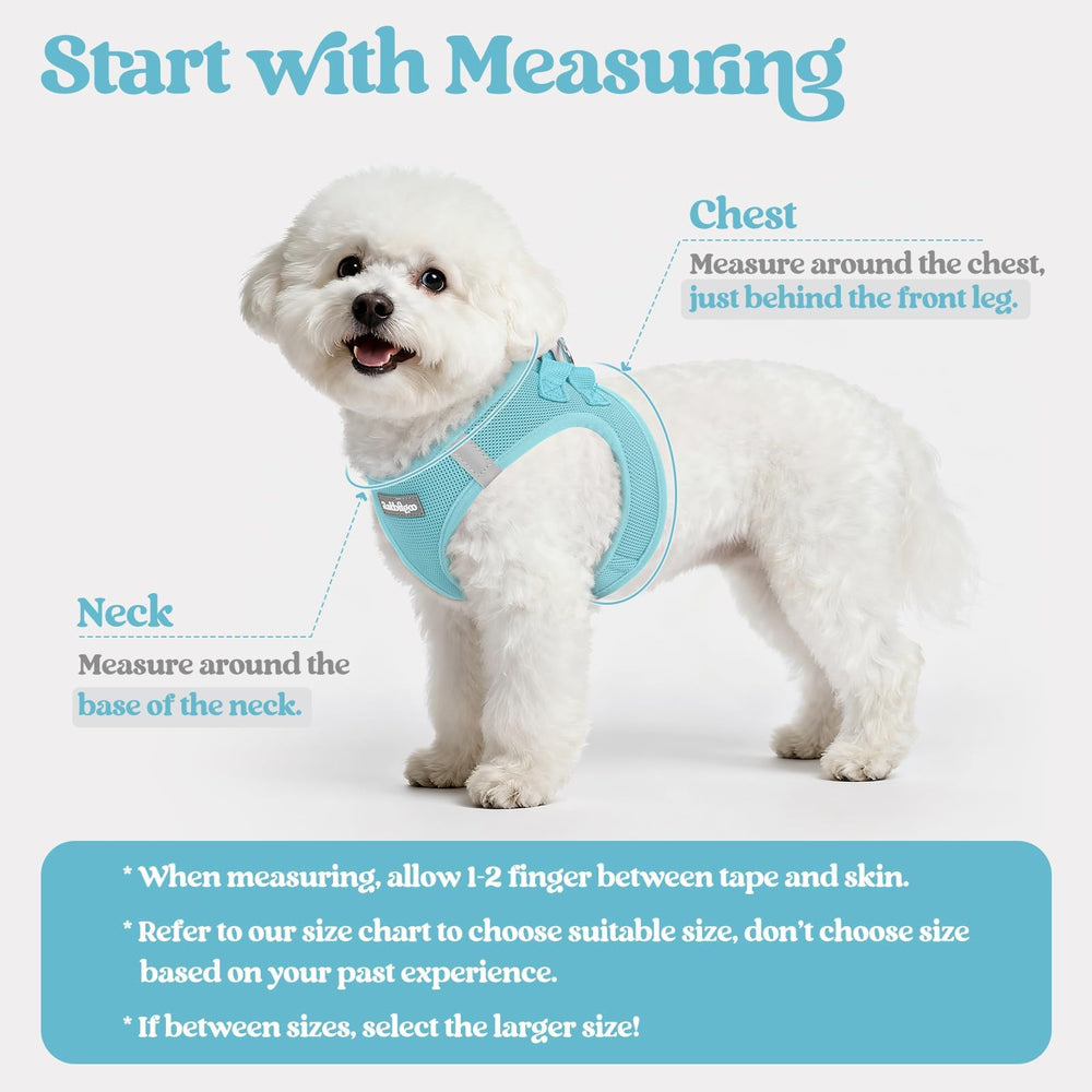 rabbitgoo step-in dog harness vest shown as a standalone item.