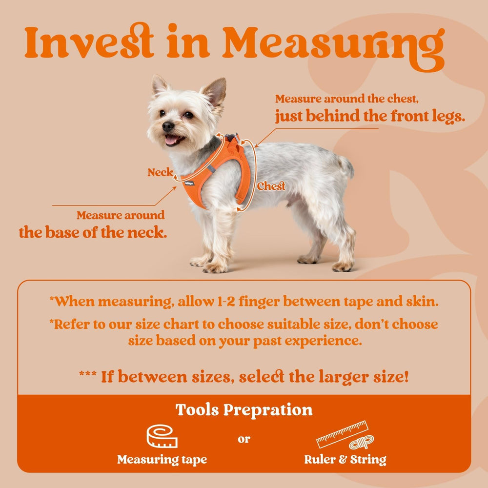 rabbitgoo step-in small dog harness with a close view of its air mesh.