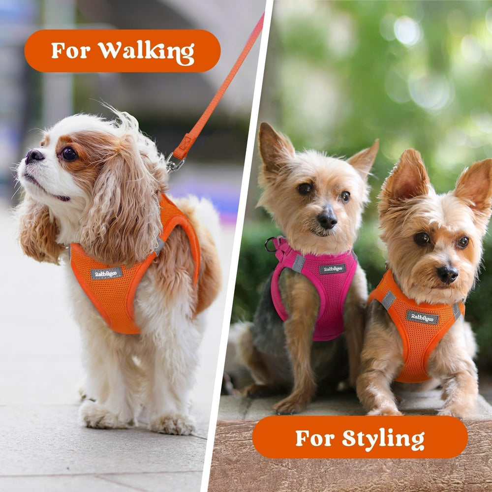 rabbitgoo step-in small dog harness shown in its vibrant color choices.