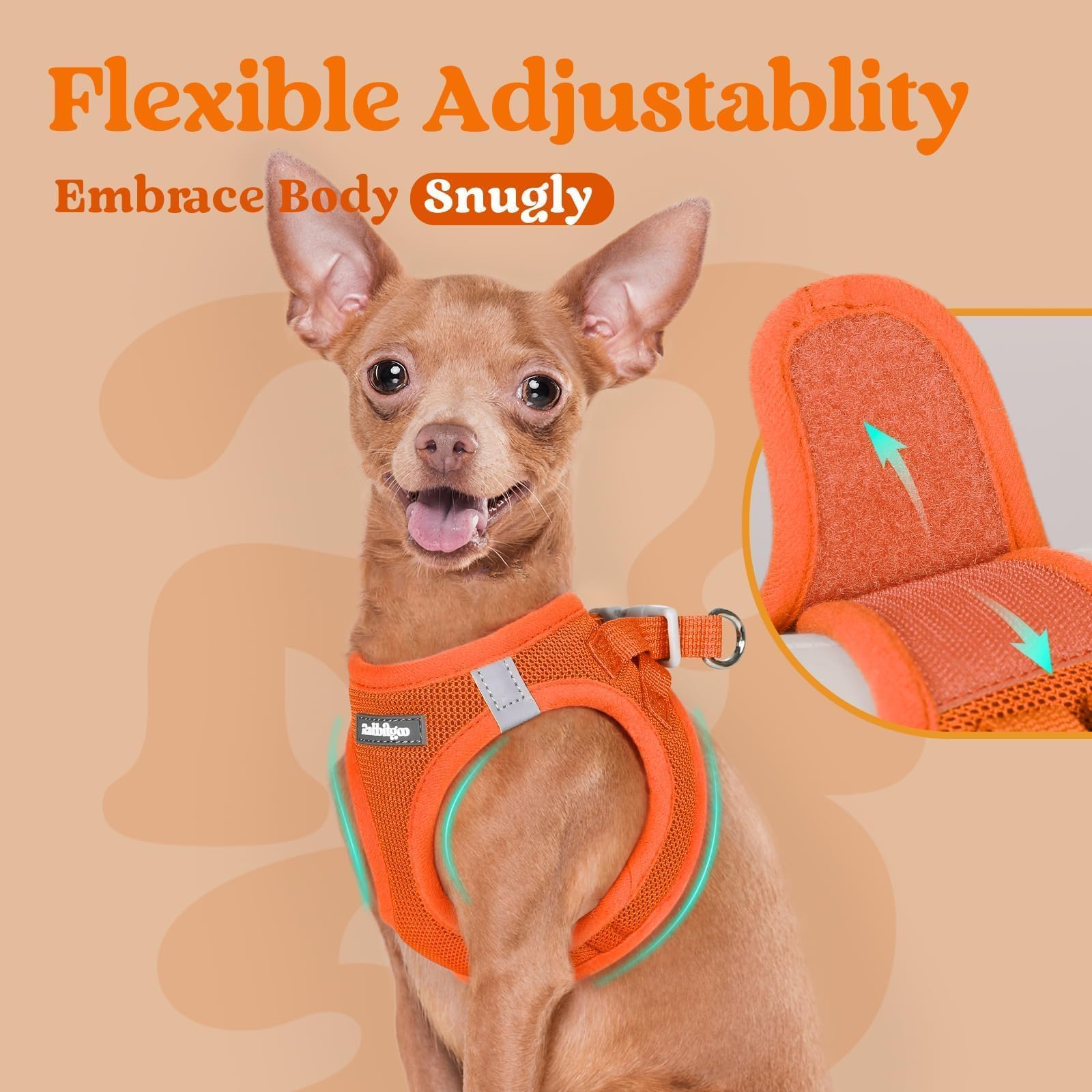 rabbitgoo step-in small dog harness D-rings shown in detail.