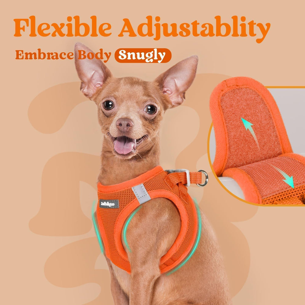 rabbitgoo step-in small dog harness D-rings shown in detail.