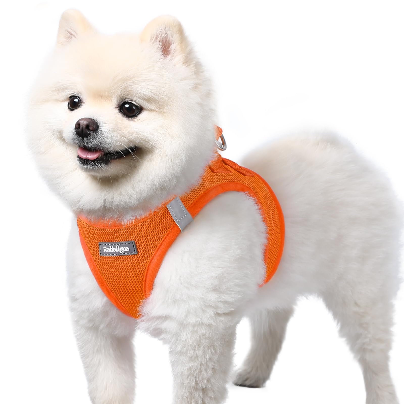 rabbitgoo step-in small dog harness shown from the front.