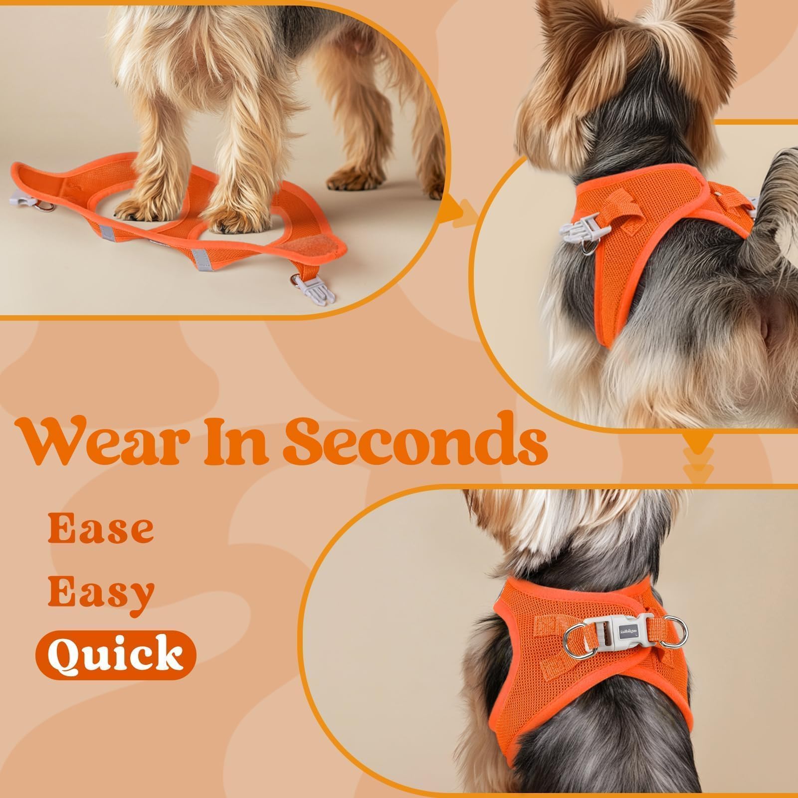 rabbitgoo step-in small dog harness hook-and-loop closure shown close up.