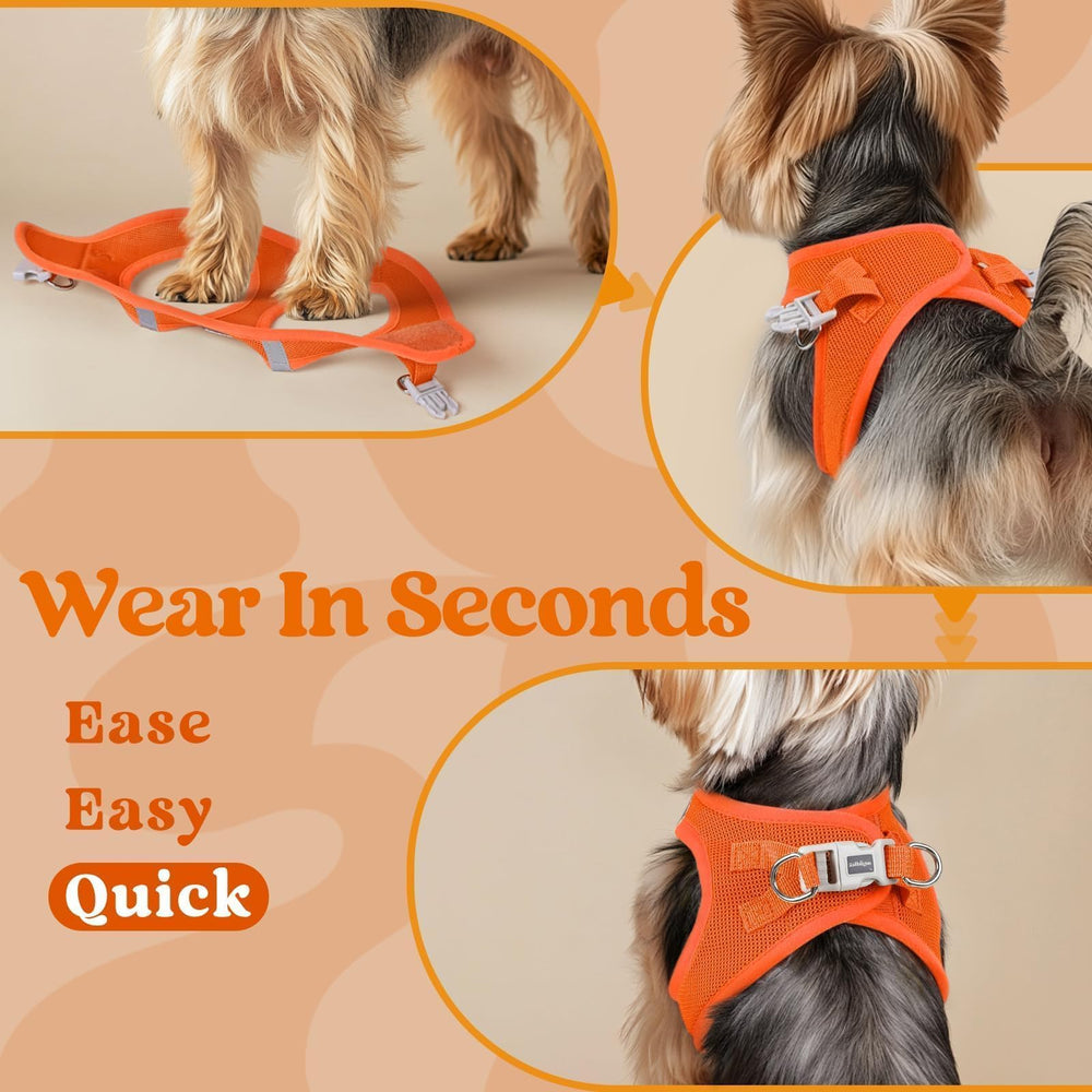 rabbitgoo step-in small dog harness hook-and-loop closure shown close up.